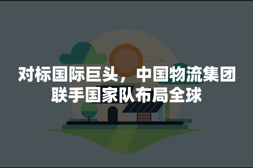 对标国际巨头，中国物流集团联手国家队布局全球