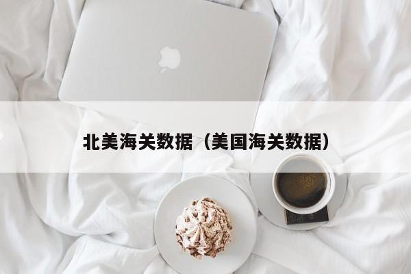 北美海关数据（美国海关数据）